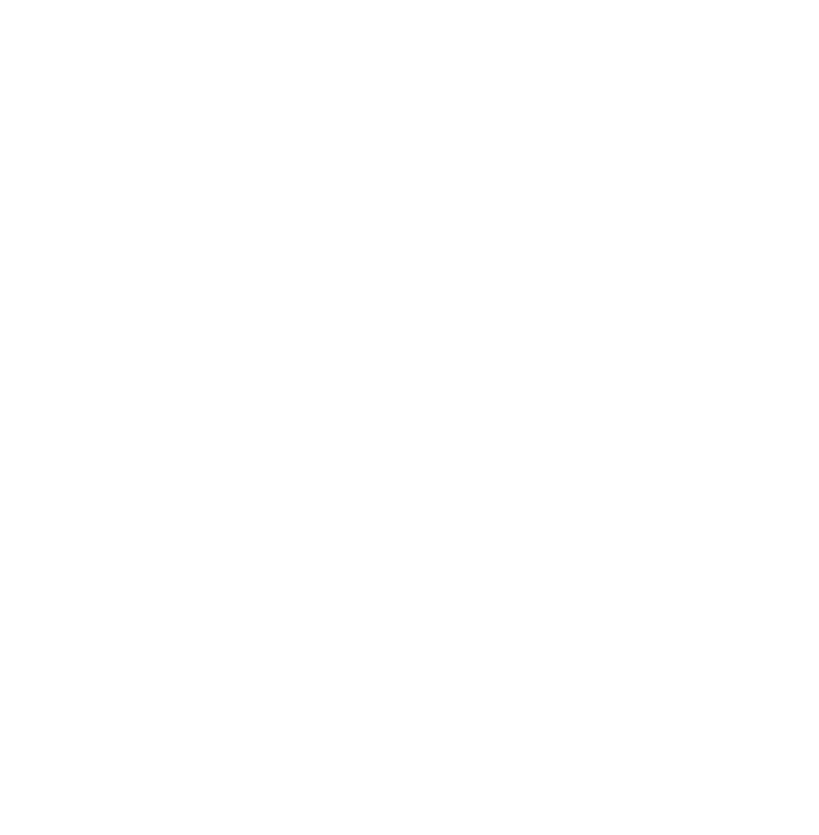 EY_Logo white