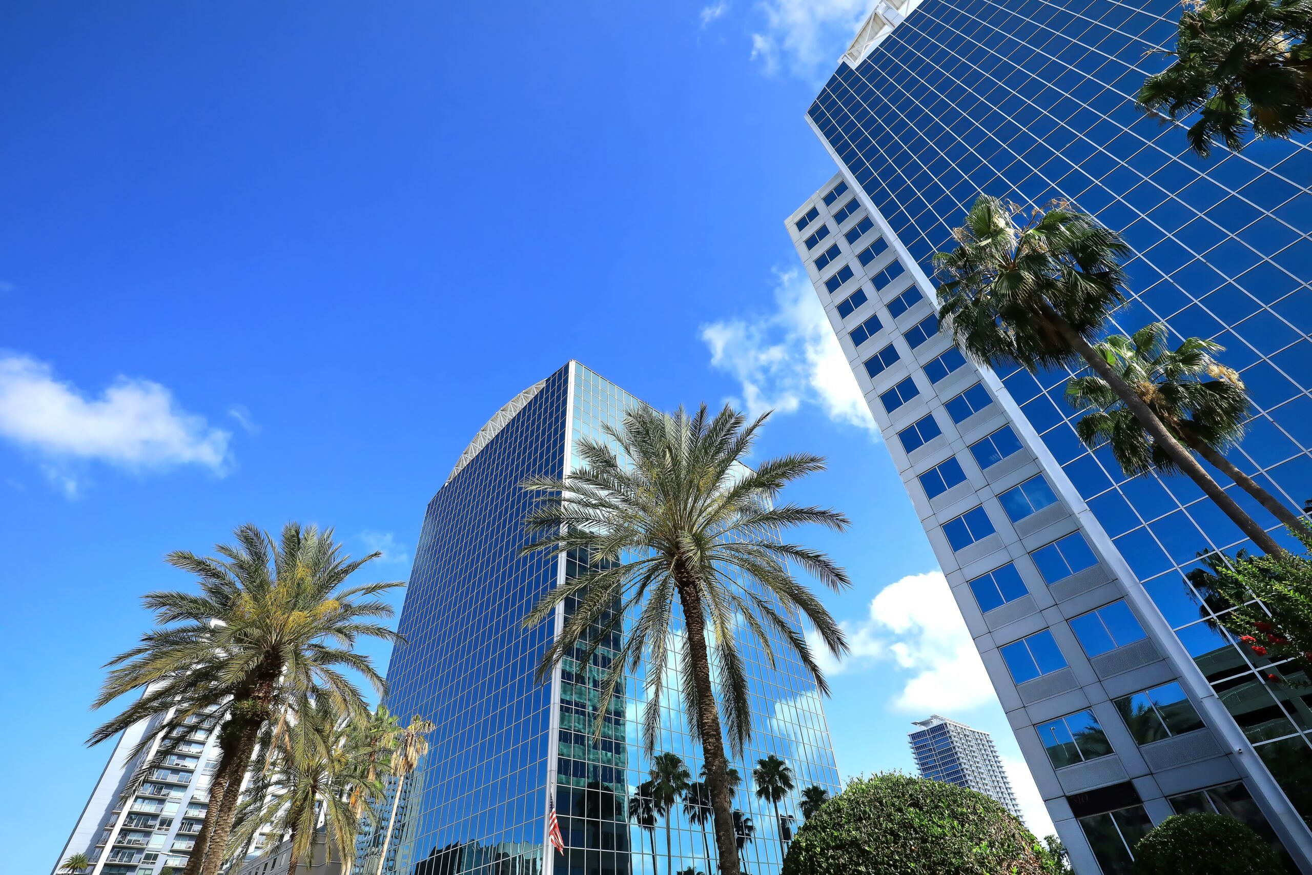 Orlando Skyline